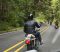Motorcyclists riding down highway 101 on the Olympic Peninsula in Washington State.